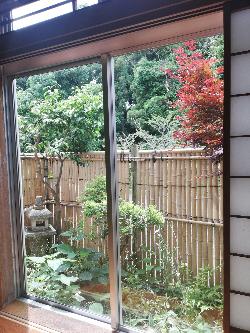 茶室から見える庭園